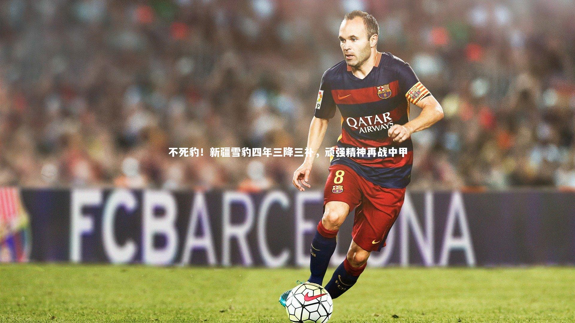 星空体育：不死豹！新疆雪豹四年三降三补，顽强精神再战中甲